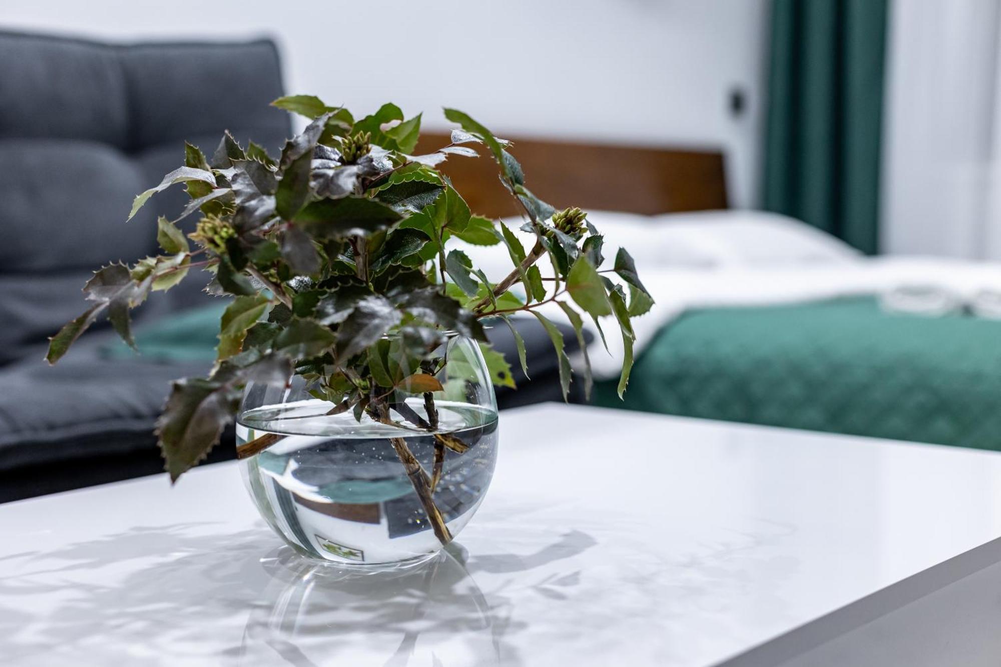 Cozy Apartments Center 利沃夫 外观 照片